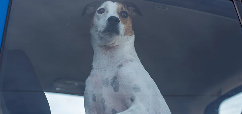 Car Lockout Solutions in Lompoc, California